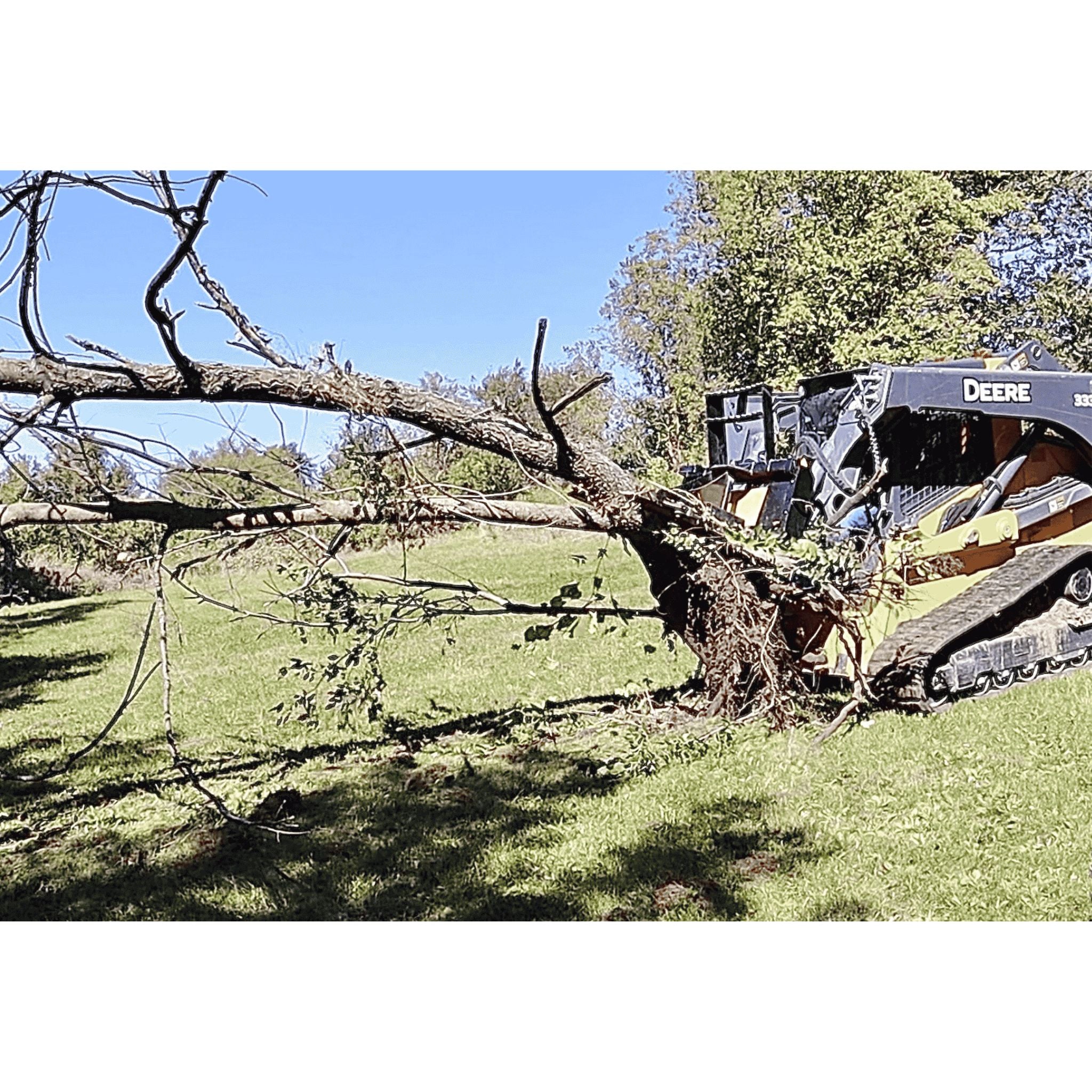 Stinger Tree Puller (STP) | 10" Capacity | Root Spade